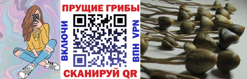 Псилоцибиновые грибы мухоморы  Болхов 