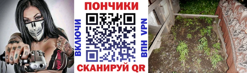 Каннабис ГИДРОПОН  что такое наркотик  Болхов 